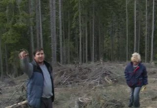 С 200 декара повече спрямо миналата гоидна ще бъдат залесени Скрийншот