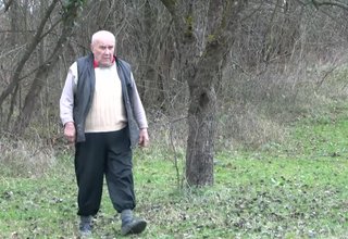 Роми от Литаково режат овощни дървета за огрев Скрийншот