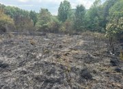 Благодарение на бързата намеса на доброволци е овладян пожарът в землището на Липница