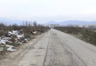 Огромно сметище край пътя от квартал север до ПиК-а Скрийншот