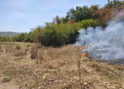 Пожар избухна в Новачене, огънят стигна до къщитe