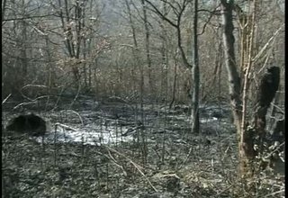 Снощи до 22 часа пожарникари и доброволци се бориха с огнената стихия в Манаселска река Скрийншот