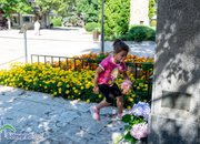 Честваме 182 години от рождението на Васил Левски