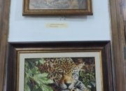 ИЗЛОЖБА НА ГОБЛЕНИ „МАГИЯ И РЕАЛНОСТ“ В ИСТОРИЧЕСКИЯ МУЗЕЙ – ГРАД ЕТРОПОЛЕ