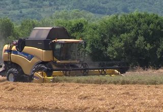 Горещите дни са най-подходящото време за жътва Скрийншот