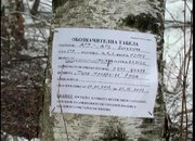 Жители на Зелин протестират срещу сеч в гората