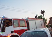 Пожарникари свалиха умряло щъркелче от гнездо