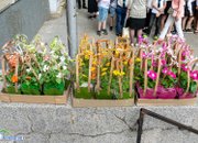 Среща на поколенията събра бивши и настоящи гимназисти