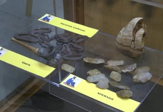 Пътуващата експозиция „Тютюн, енфие & сие” е част от популярната поредица „Пороците“ Скрийншот