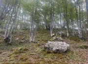 Ехо от туристическия преход в Ржана планина