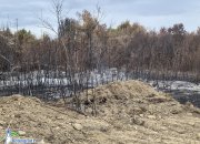 Пожарът, който обгази Ботевград, е ликвидиран. Подозират умишлен палеж