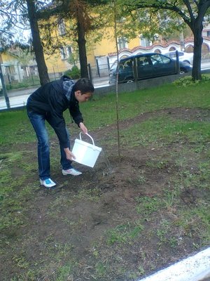 Ученици засадиха дървета по повод Деня на Земята