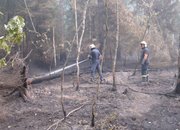 Българските пожарникри  гасят пожара  край градовете Ногинск и Ликино-Дулево