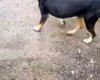 Скрийншот