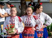 Ден на професиите в ПГТМ „Христо Ботев”