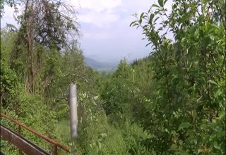 Скрийншот