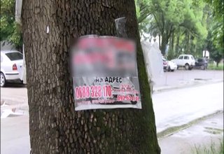 Кой ще защити дърветата: Рекламите върху тях са закрепени с метални скоби Скрийншот