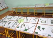С изложба на хербарии от горска растителност стартира седмицата на Златаров в ботевградската гимназия 