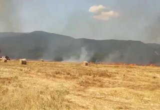 Горят бали слами от ожъната нива Скрийншот