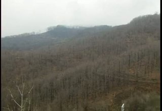 Скрийншот