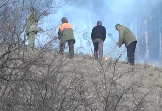 20 декара сухи треви и храсти горяха местността Темуша Скрийншот