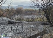 Пожарът, който обгази Ботевград, е ликвидиран. Подозират умишлен палеж
