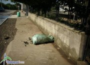 Сдружение „На ти с природата” продължава да събира помощи за бедстващите в Мизия