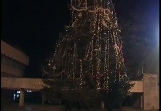 Днес бяха запалени светлините на коледното дърво в центъра на Ботевград Скрийншот