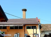 Спасиха щъркел, паднал от гнездото при складовете за търговия на едро