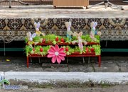 Ден на професиите в ПГТМ „Христо Ботев”