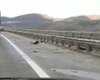 Скрийншот