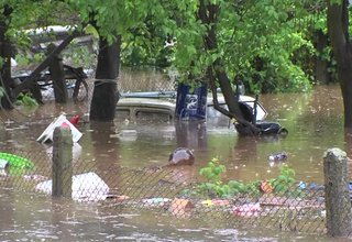 От проливния дъжд днес са залети дворове и приземни етажи на къщи във Врачеш Скрийншот