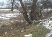 Челен удар в дърво преди Вранещица