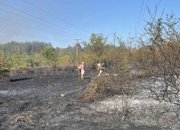 Ситуацията с пожара при м. Малините е под контрол