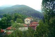 В Лопян отбелязаха храмовия празник