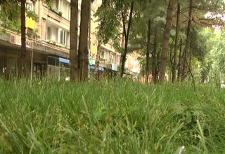 Започна третирането на тревните площи в общината против кърлежи и комари Скрийншот