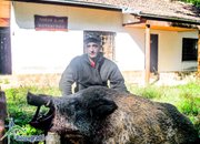 200-килограмов глиган отстреля Тихомир Петков от Ловна дружина "Ботевград"