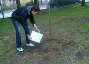 Ученици засадиха дървета по повод Деня на Земята