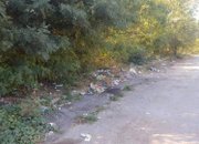 Над 100 доброволци почистиха района на язовир „Бебреш”