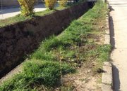 ОБЩИНА ЕТРОПОЛЕ ОТБЕЛЯЗА СЕДМИЦАТА НА ГОРАТА И ДЕНЯ НА ЗЕМЯТА СЪС ЗАЛЕСИТЕЛНА АКЦИЯ