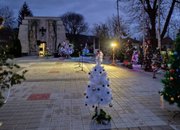 22 елхи засияха в центъра на Скравена