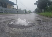 Вода извира от канализационите шахти в Зелин