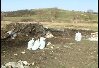 Скрийншот