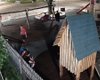 Скрийншот