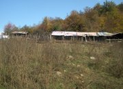 Потресаваща картина