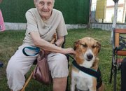 Домът за възрастни хора в Ботевград и „Четири лапи“ си партнират по проект „Животни помагат на хора“ 