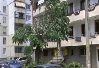 Вижте как служители на ЧЕЗ окастриха дърветата на улица „Раковски”, за да не пречат на електрическите жици Скрийншот