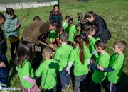 Деца от детските градини  участват в традиционния празник на гората