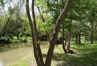 Жители на Боженица създават парк в селото, който от четири години насам поддържат сами Скрийншот