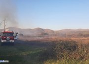 Горят сухи треви в района на рибарниците край Скравена